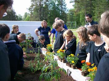 barnen planterar blommor på Vallens miljöskola