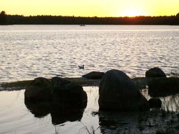 solnedgång